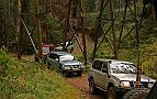 02-Single file inder the Trestle Bridge